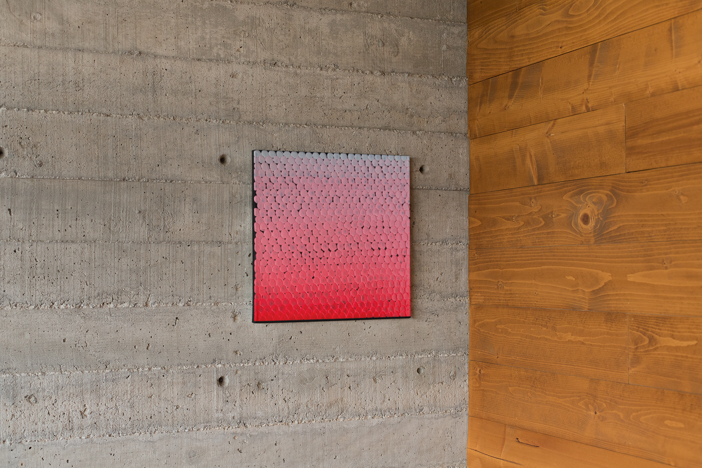 "Candy Fish" 60x60cm